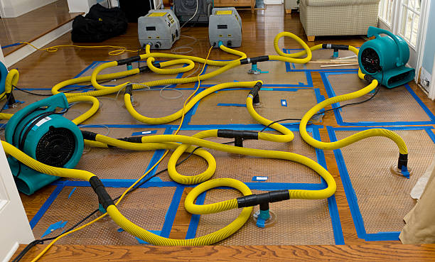 Professional Water Damage Restoration technician working in Lumberton, NJ